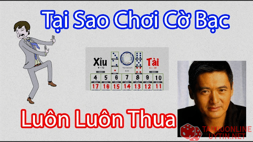 3 lý do chính khiến bạn toàn chơi thua tài xỉu online