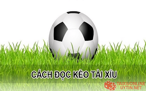 Cách đọc kèo tài xỉu 2 3/4 cho người chơi mới